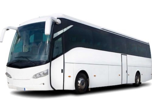 sewa bus pariwisata belitung
